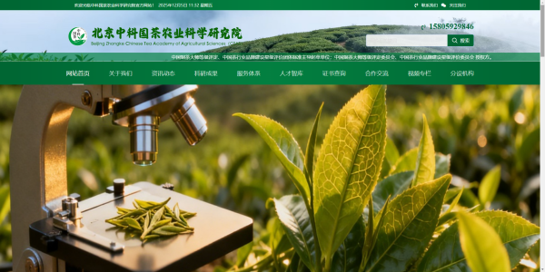 中科网页_副本.png