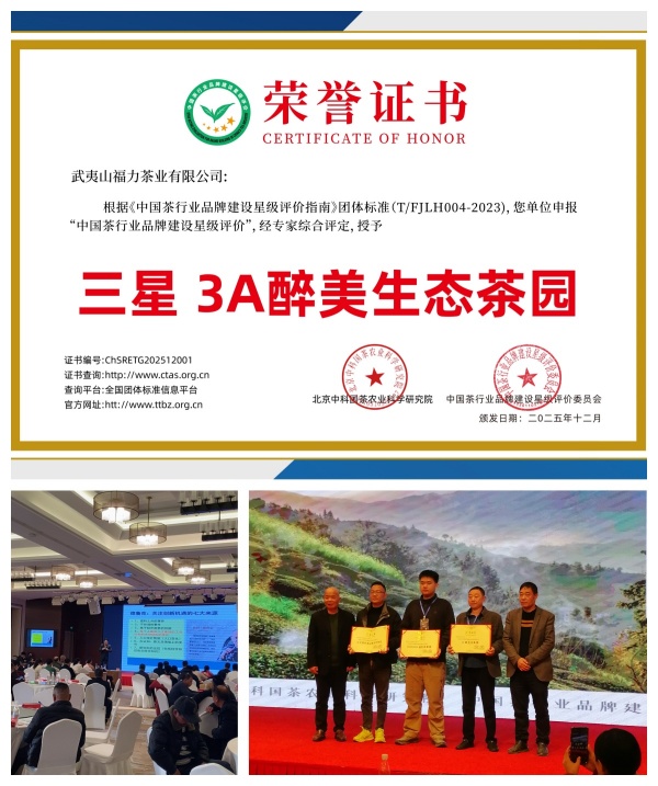 茶园组合 600.jpg