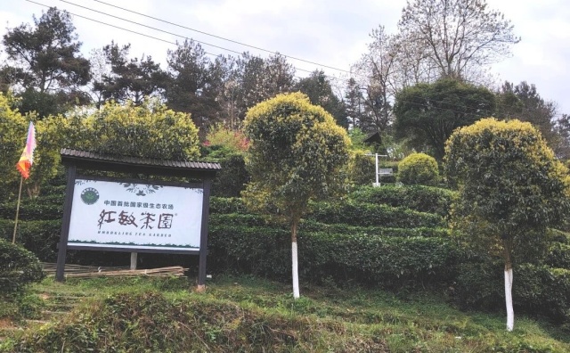 640 副本.jpg